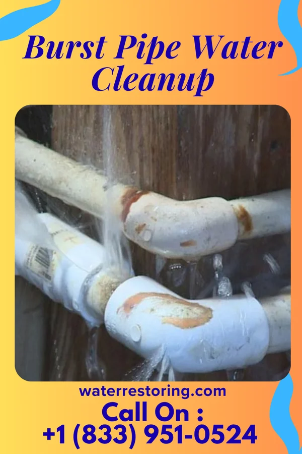 Burst Pipe Water Cleanup in Lorain, PA