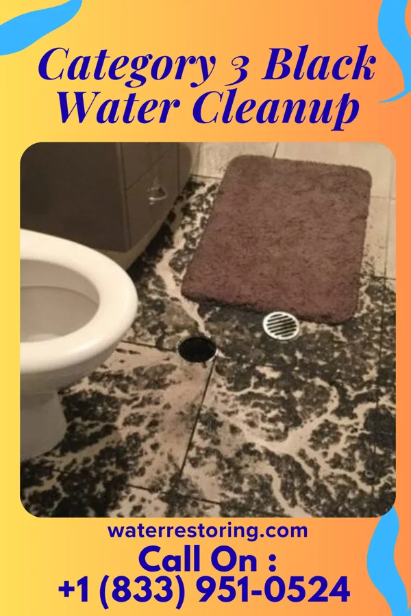 Category 3 Black Water Cleanup in Lorain, PA