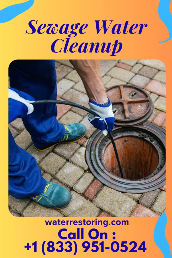 Sewage Water Cleanup in Lorain, PA